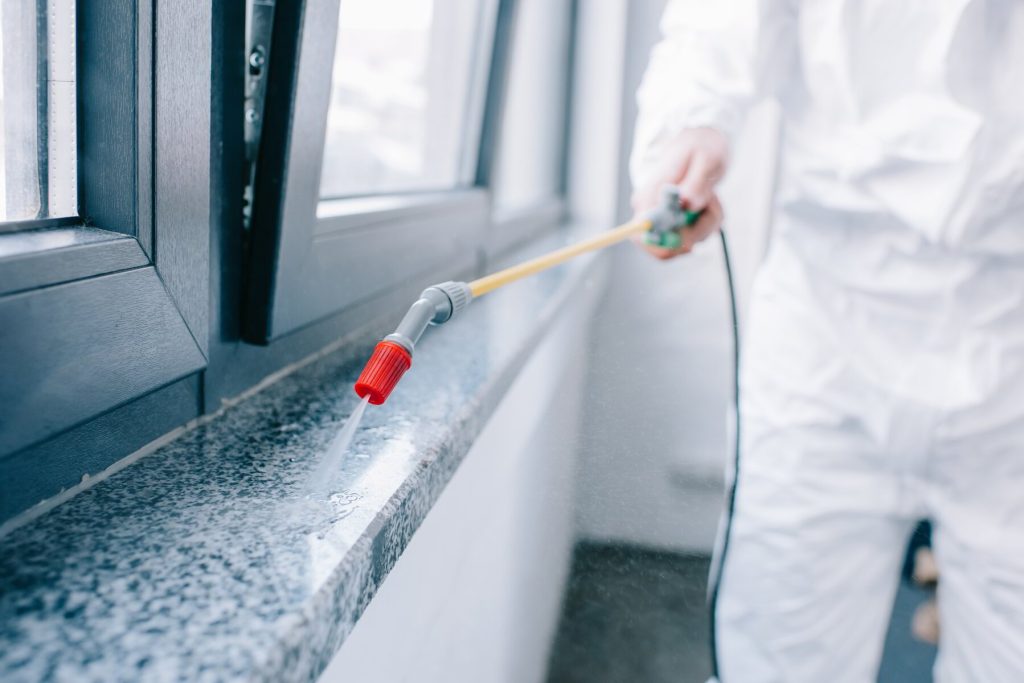 Expert Pest Control & Inspections in New Jersey